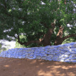 Building Resilience: How Baarey Village Took Action against Flooding